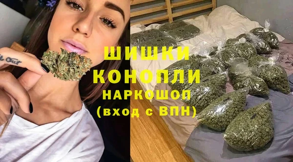 прущий лед Пересвет
