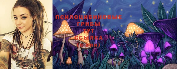 mix Пестово