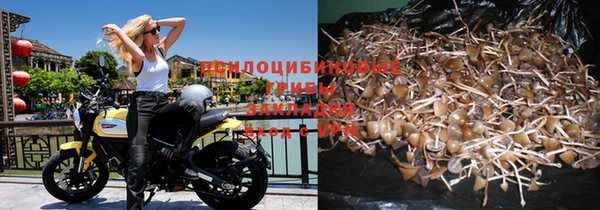 прущий лед Пересвет