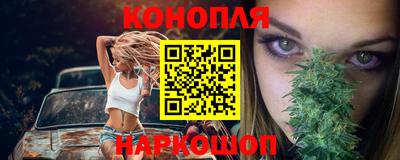 шишки Будённовск