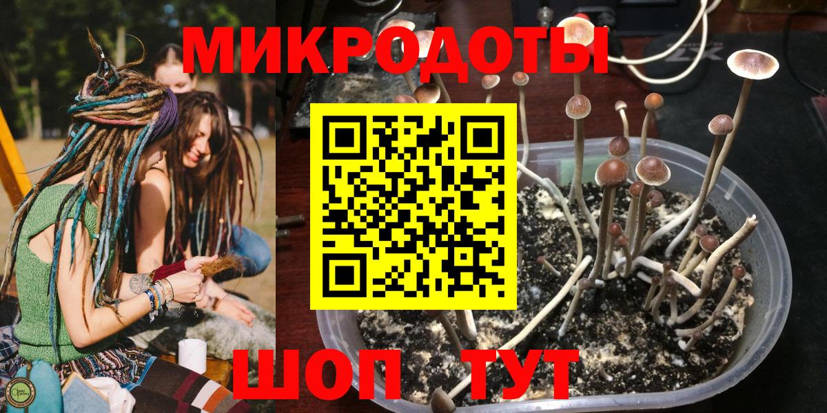 Псилоцибиновые грибы мухоморы  Псилоцибиновые грибы прущие грибы  Вольск 