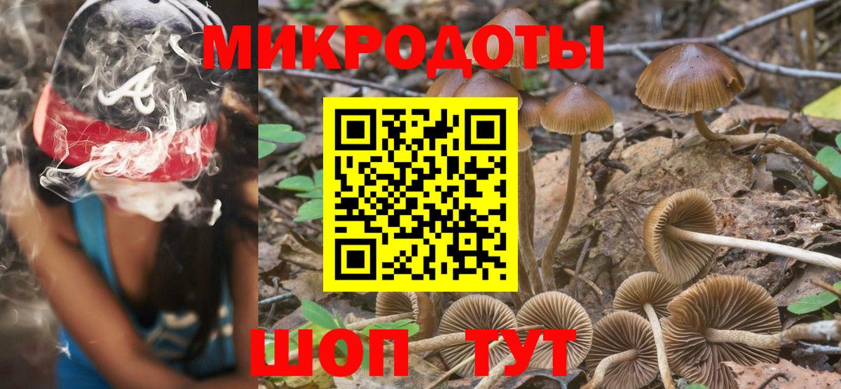 Псилоцибиновые грибы GOLDEN TEACHER Вольск