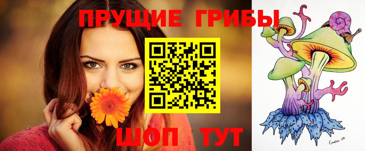 Галлюциногенные грибы мицелий Вольск