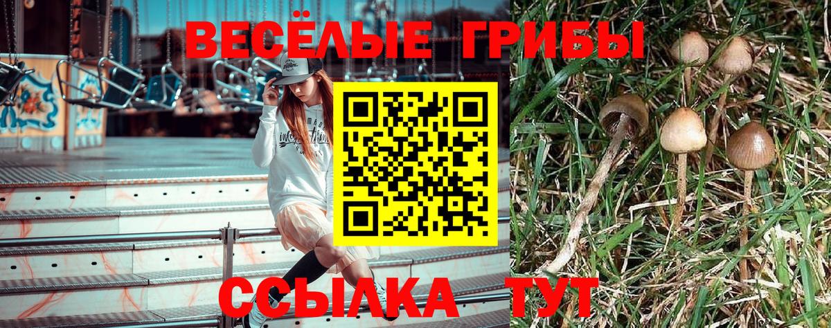 Вольск  Галлюциногенные грибы MAGIC MUSHROOMS  Псилоцибиновые грибы мухоморы  Вход с VPN 